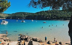Can Romy Appartement T3 B - A 20M De La Plage De Cala Montgo